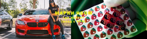 гашик Михайловка