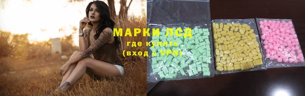 гашик Михайловка