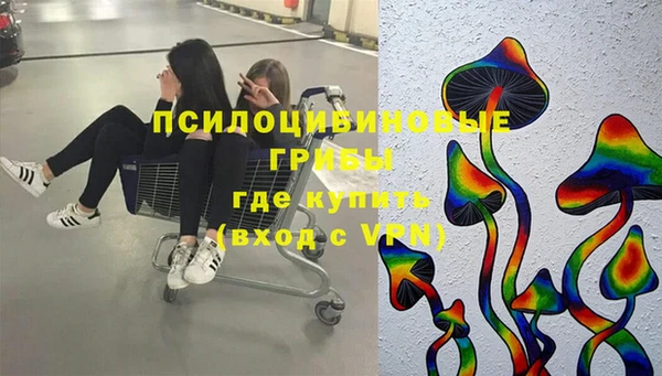 гашик Михайловка