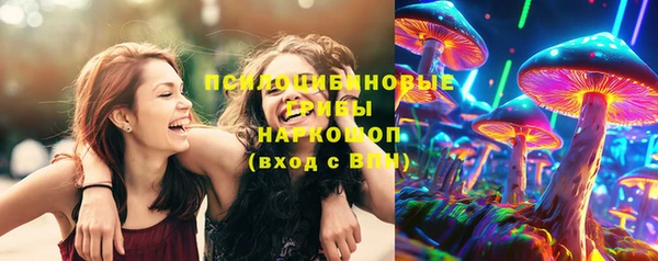 дживик Михайловск