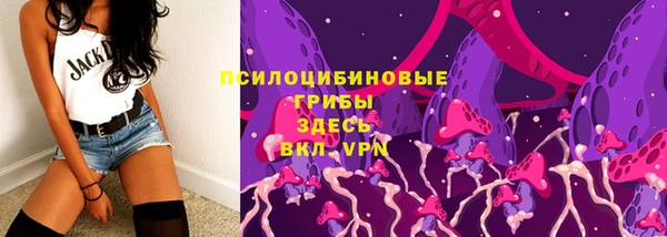 гашик Михайловка