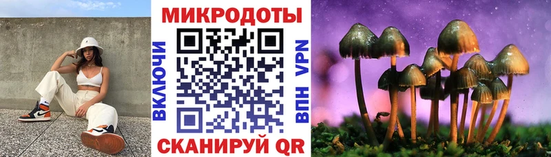 Галлюциногенные грибы прущие грибы  цены   Александровск-Сахалинский 