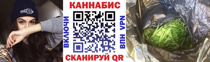OMG как зайти  Александровск-Сахалинский  Канабис сатива 
